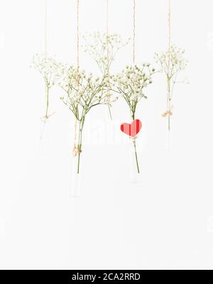 Weiße Blumen in Glas Mini Vasen hängen. Konzept des Valentinstag, Hochzeitsfeier. Stockfoto