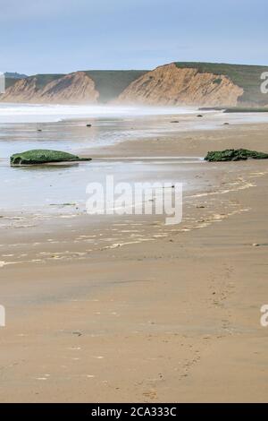 Klippen und ein Sandstrand am Point Reyes in Kalifornien Stockfoto