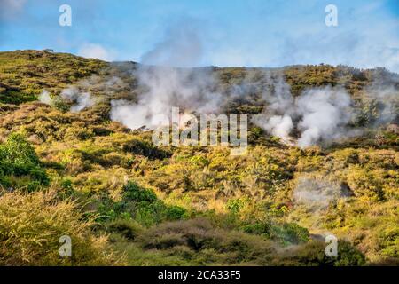 Krater des Mondes Geothermie Tal, Taupo - Neuseeland. Stockfoto