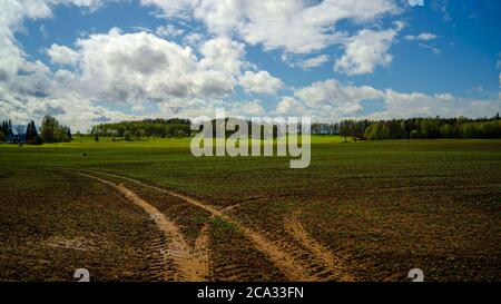 Frühling auf den Feldern Lettlands an einem sonnigen Tag Stockfoto