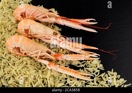 Frisch gekochte ganze Dublin Bay Garnelen auch bekannt als Kaisergranat und Scampi mit Reis auf einem Schieferstein Hintergrund Stockfoto