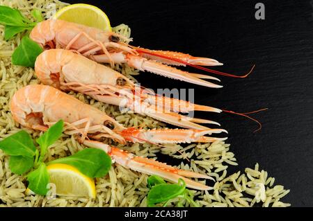 Frisch gekochte ganze Dublin Bay Garnelen auch bekannt als Kaisergranat und Scampi mit Reis auf einem Schieferstein Hintergrund Stockfoto