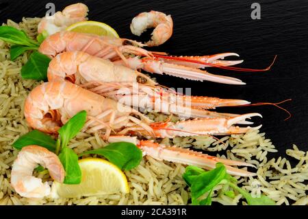 Frisch gekochte ganze Dublin Bay Garnelen auch bekannt als Kaisergranat und Scampi mit Reis auf einem Schieferstein Hintergrund Stockfoto