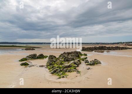 Felsen an einem Sandstrand bei Ebbe, auf der Insel Jersey Stockfoto