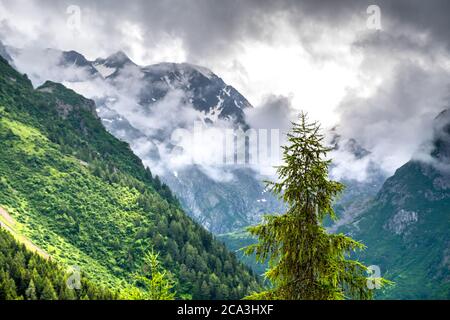 Herrliche Aussicht auf den Nebelmorgen auf der Seiser Alm. Sommerlandschaft in den italienischen Dolomiten. Südtirol. Italien. Europa Stockfoto