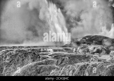 Geysire in Te Puia Geothermie Tal, Neuseeland Stockfoto