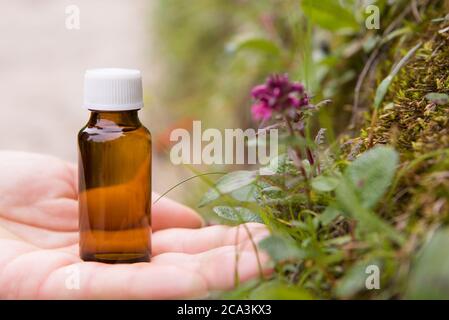 Bach Alternative Medizin - Ort für Text. Stockfoto