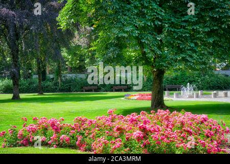 DE - BAVARIA: Der beliebte Rosengarten neben dem Kurpark in Bad Tölz Stockfoto