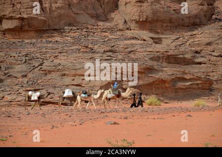 Algerien, Illizi, Tassili N'Ajjer Nationalpark: Berber Kamelzug im Wadi Bouhadian im Tadrart Gebirge. Stockfoto