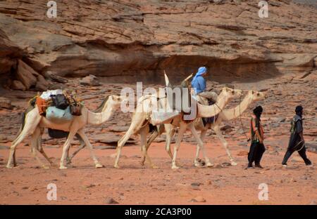 Algerien, Illizi, Tassili N'Ajjer Nationalpark: Teil eines Berber Kamelzuges im Wadi Bouhadian im Tadrart Gebirge. Stockfoto
