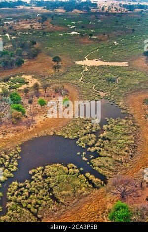 Luftaufnahme, Okavango Feuchtgebiete, Okavango Grasland, Okavango Delta, UNESCO Weltkulturerbe, Ramsar Feuchtgebiet, Botswana, Afrika Stockfoto