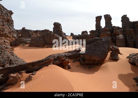 Algerien, Illizi, Tassili N'Ajjer Nationalpark: Teil des Waldes von bizarren Felsformationen und Sanddünen in der Nähe von Djanet. Stockfoto