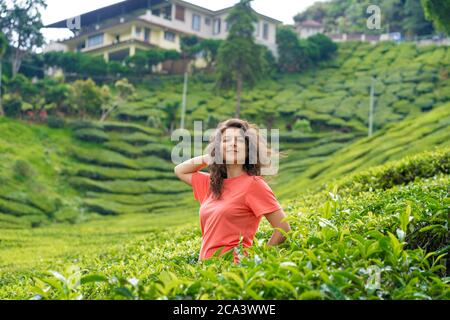 Schöne Brünette Mädchen posiert in der Mitte des Teetals zwischen grünem Tee Büsche Stockfoto