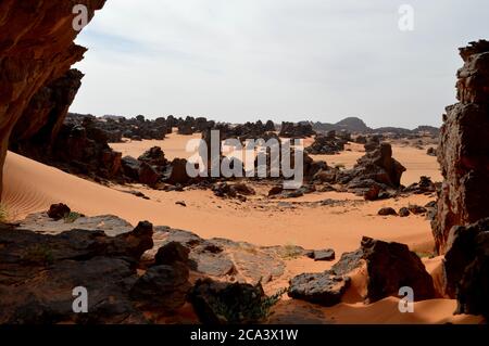 Algerien, Illizi, Tassili N'Ajjer Nationalpark: Teil des Waldes von bizarren Felsformationen und Sanddünen in der Nähe von Djanet. Stockfoto