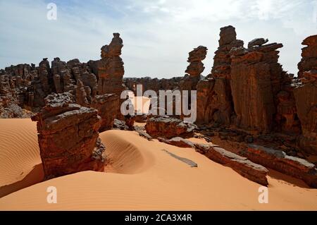 Algerien, Illizi, Tassili N'Ajjer Nationalpark: Teil des Waldes von bizarren Felsformationen und Sanddünen in der Nähe von Djanet. Stockfoto