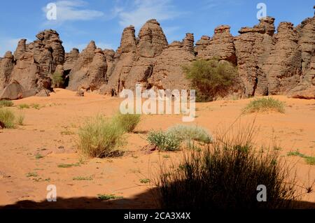 Algerien, Illizi, Tassili N'Ajjer Nationalpark: Teil des Waldes von bizarren Felsformationen und Sanddünen in der Nähe von Djanet. Stockfoto