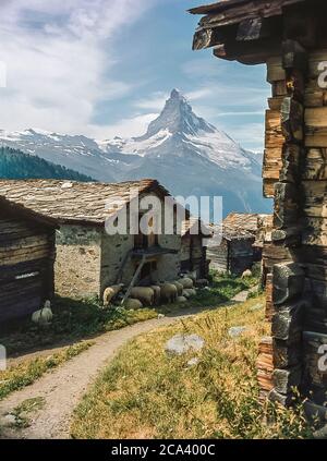 Schweiz. Zermatt. Das ist der Blick auf den ikonischen Matterhorn Berg vom Dorf Findeln in der Nähe des Schweizer Bergurlaubsortes Zermatt im Schweizer Kanton Wallis Stockfoto