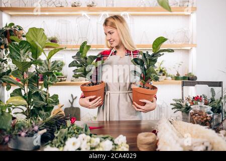 Porträt von schönen attraktiven kaukasischen Floristin Dame mit blonden Haaren, trägt weiße Schürze auf rot karierten Hemd und hält Pflanzen in Töpfen, surro Stockfoto