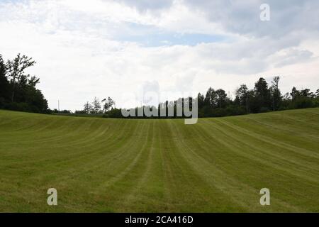 Gemäht grüne Wiesen und schneiden Gras in regelmäßigen Mustern in der Nähe von Eisenbahnstrecke und Ringlikon von Bäumen und Sträuchern im Hintergrund unter blauem Himmel umgeben. Stockfoto