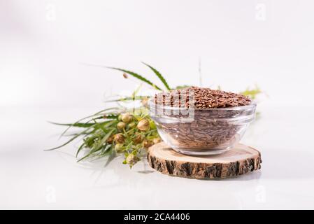 Nahaufnahme Leinsamen in einer Glasschale. Zusammensetzung mit , Leinsamen und Pflanzen auf weißem Hintergrund. Bio gesunde Lebensmittel Hintergrund. Stockfoto