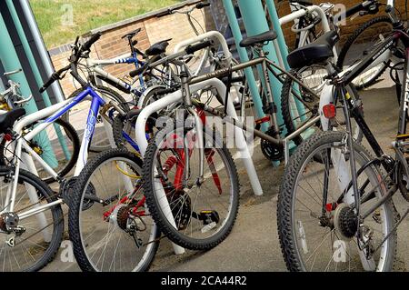 Mehrere versperrte Fahrräder auf einem Fahrradständer Stockfoto