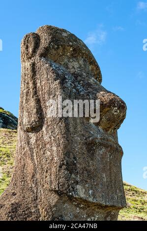 Moai am Hang am Vulkankrater Rano Raraku auf der Osterinsel in Chile. Stockfoto