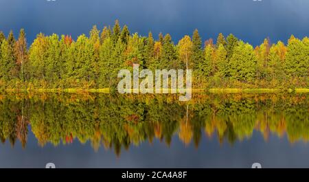 Herbst Wald See Reflexion Landschaft. Stockfoto