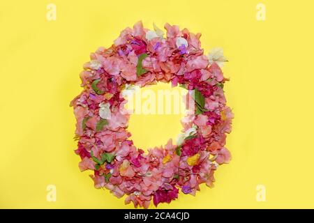 Buchstabe o Blumenalphabet, aus bunten Bougainvillea Blumen, wunderbare Flora Buchstaben für einzigartige Frühlingsdekorationen und verschiedene kreative Ideen, Stockfoto