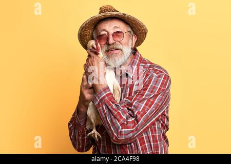 Halbe Länge Schuss von lokalen reifen Landwirt mit grauen Bart und Falten, in Strohhut und kariertes Hemd, Umarmung und Kuscheln seiner heimischen Huhn, suchen Stockfoto