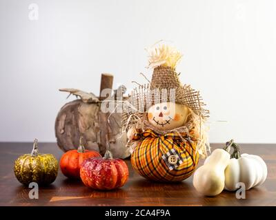 Kleine Vogelscheuche mit orangefarbenem karierten Outfit auf einer Holztheke sitzend, daneben kleine Kürbisse und Kürbisse und dahinter ein Holzkürbis. Fallen Stockfoto