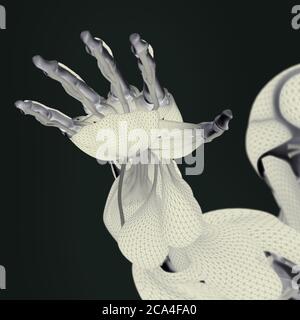 Hand der menschlichen Anatomie. Muskelsystem. Knochenstruktur. Gefäßsystem. 3D-Illustration Stockfoto