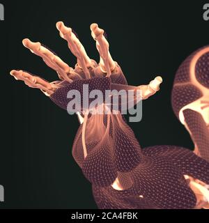 Hand der menschlichen Anatomie. Muskelsystem. Knochenstruktur. Gefäßsystem. 3D-Illustration Stockfoto