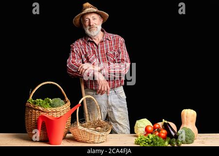 Seniorbauer im Strohhut steht entspannt nach harter Arbeit auf dem Feld, lehnt sich an Schaufel, brachte frisch geerntes Gemüse nach Hause und auch volle Baske Stockfoto