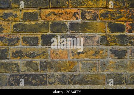 Ziegel-Wand-Hintergrund Stockfoto