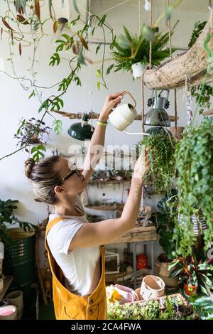 Frau Gärtner Bewässerung Topfpflanze im grünen Haus von hängenden Pflanzen umgeben, mit weißen Gießkanne Metall. Home Gartenarbeit, Liebe der Pflanzen Stockfoto