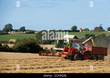 Winter Harvest kombinierte Erntemaschine bei der Arbeit im Feld Dusty Sunny wolkiger Himmel Felder Bäume und Häuser in der Ferne Landschaftsformat Stockfoto