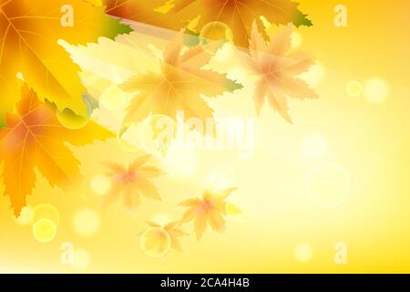 Banner Herbst fallende Blätter Vorlage Hintergrund. Gelb und braun buntes Laub. Banner, Flyer, Präsentationen. Vektorgrafik Stock Vektor