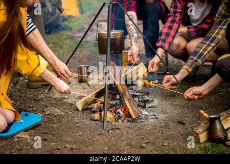 Junge Touristen, die sich ausruhen, Pilze auf Stöcken rösten, Nahaufnahme beschnittenes Foto, Freizeit, Freizeit Stockfoto