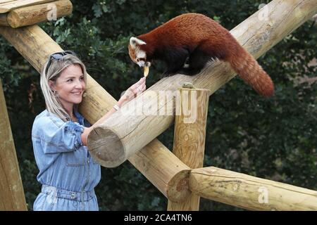 Countryfile Moderatorin Helen Skelton füttert einen roten Panda während eines Besuchs im Yorkshire Wildlife Park in Doncaster, um zwei neue erweiterte Tierreservate zu eröffnen: Erleben Sie Äthiopien und Himalayan Pass, wo Besucher Hyänen, Gelada Affen, Rote Pandas und glatt beschichtete Otter sehen können. Stockfoto