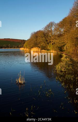 Slapton Ley; Devon; Großbritannien Stockfoto