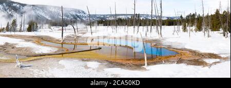 Landschaft mit opaleszierendem Pool im Black Sand Basin, Yellowstone National Park, Wyoming, USA Stockfoto