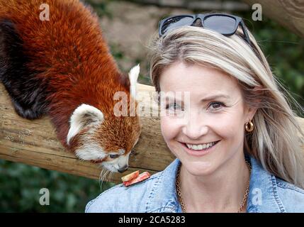 Countryfile Moderatorin Helen Skelton füttert einen roten Panda während eines Besuchs im Yorkshire Wildlife Park in Doncaster, um zwei neue erweiterte Tierreservate zu eröffnen: Erleben Sie Äthiopien und Himalayan Pass, wo Besucher Hyänen, Gelada Affen, Rote Pandas und glatt beschichtete Otter sehen können. Stockfoto