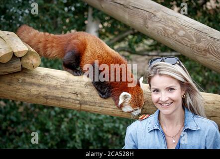 Countryfile Moderatorin Helen Skelton füttert einen roten Panda während eines Besuchs im Yorkshire Wildlife Park in Doncaster, um zwei neue erweiterte Tierreservate zu eröffnen: Erleben Sie Äthiopien und Himalayan Pass, wo Besucher Hyänen, Gelada Affen, Rote Pandas und glatt beschichtete Otter sehen können. Stockfoto