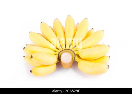 Reife Hand von goldenen Bananen oder Lady Finger Banane auf weißem Hintergrund gesunde Pisang Mas Banana Obst Essen isoliert Stockfoto