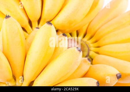 Hand der goldenen Bananen auf weißem Hintergrund gesunde Pisang Mas Banana Obst Lebensmittel isoliert Stockfoto