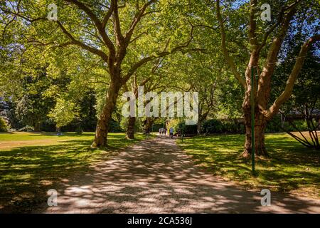 Ein Waldweg im Stanley Park im Sommer, Vancouver, British Columbia, Kanada Stockfoto