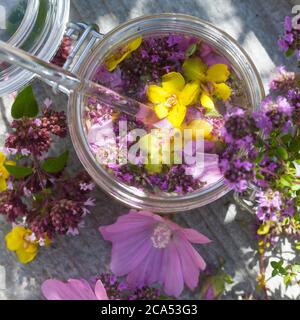 Husten-Oxymel, Hustenoxymel, Oxymel, Honig, Essig, Blüten, Blütenhonig, Blüten-Honig, Wildblumen-Honig, Wildblüten-Honig, Hustenhonig, Husten-Honig. T Stockfoto