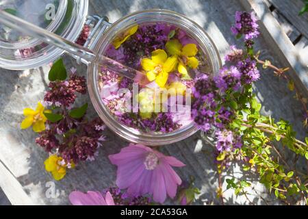 Husten-Oxymel, Hustenoxymel, Oxymel, Honig, Essig, Blüten, Blütenhonig, Blüten-Honig, Wildblumen-Honig, Wildblüten-Honig, Hustenhonig, Husten-Honig. T Stockfoto