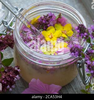 Husten-Oxymel, Hustenoxymel, Oxymel, Honig, Essig, Blüten, Blütenhonig, Blüten-Honig, Wildblumen-Honig, Wildblüten-Honig, Hustenhonig, Husten-Honig. T Stockfoto