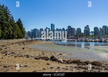 Die Vancouver Skyline und Stanley Park Meeresmauer bei Ebbe in Coal Harbour im Sommer Stockfoto